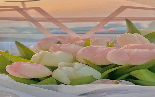 pink white tulip wallpaper  from Chrome web store to be run with OffiDocs Chromium online