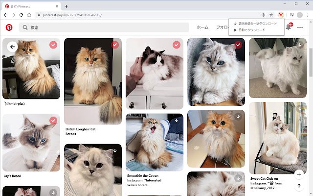 Pinterest画像ダウンローダー dal Chrome Web Store verrà eseguito con OffiDocs Chromium online