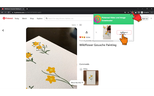Pinterest Video  Image Downloader  from Chrome web store to be run with OffiDocs Chromium online