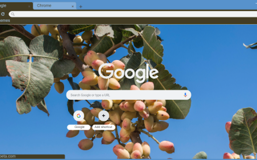 Pistachio Tree  from Chrome web store to be run with OffiDocs Chromium online