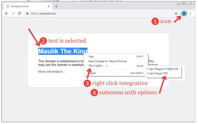 Chrome വെബ് സ്റ്റോറിൽ നിന്നുള്ള Pixgopher, OffiDocs Chromium ഓൺലൈനിൽ പ്രവർത്തിക്കും