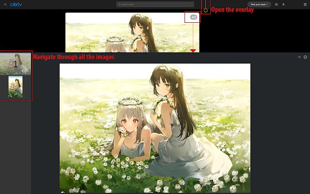 ภาพซ้อนทับ Pixiv จาก Chrome เว็บสโตร์ที่จะเรียกใช้ด้วย OffiDocs Chromium ออนไลน์