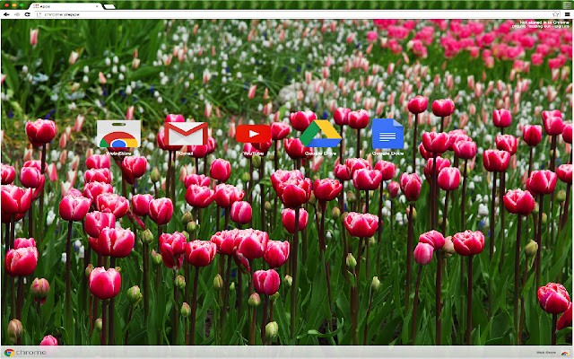 Piante e fiori dal negozio web di Chrome da eseguire con OffiDocs Chromium online