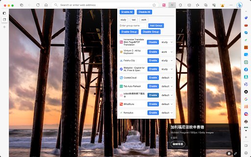 Plugin Controller  from Chrome web store to be run with OffiDocs Chromium online