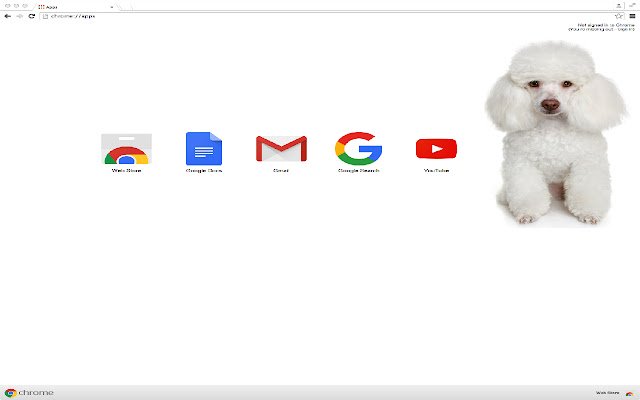 Chrome 网上商店的贵宾犬主题将与 OffiDocs Chromium 在线运行
