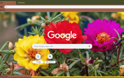 Portulaca  from Chrome web store to be run with OffiDocs Chromium online