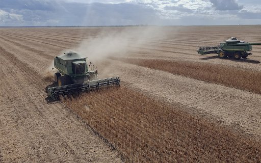 Post harvest field from Chrome web store to be run with OffiDocs Chromium online Post harvest field from Chrome web store to be run with OffiDocs Chromium online