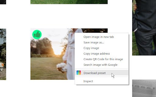 Presetninja: Adobe Preset Tool  from Chrome web store to be run with OffiDocs Chromium online