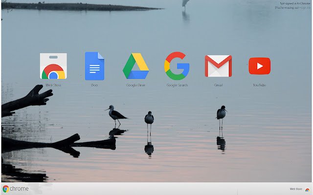 Chrome ウェブストアの Pretty Birds を OffiDocs Chromium オンラインで実行