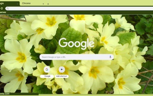 Primrose  from Chrome web store to be run with OffiDocs Chromium online