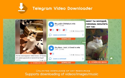 Private video downloader Telegram Private Video Downloader  from Chrome web store to be run with OffiDocs Chromium online