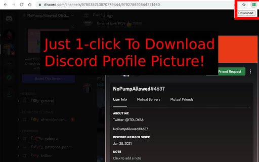 Profile Picture Downloader for Discord™  from Chrome web store to be run with OffiDocs Chromium online