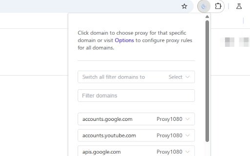 Proxy Switchy X  from Chrome web store to be run with OffiDocs Chromium online