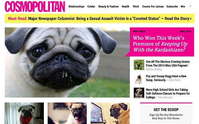 Puggin.it v2  from Chrome web store to be run with OffiDocs Chromium online