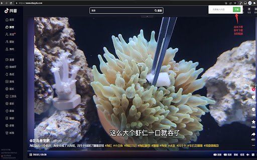 PullVideo  from Chrome web store to be run with OffiDocs Chromium online