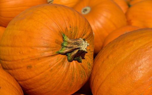 Pumpkins  from Chrome web store to be run with OffiDocs Chromium online