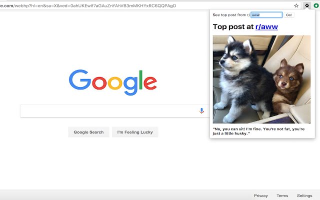 Puppers  from Chrome web store to be run with OffiDocs Chromium online