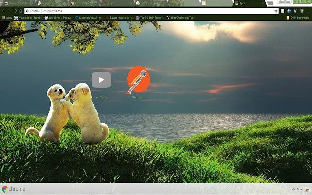 توله سگ از فروشگاه وب Chrome با OffiDocs Chromium به صورت آنلاین اجرا می شود