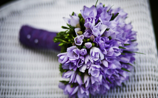 Purple flowers are faithful  from Chrome web store to be run with OffiDocs Chromium online