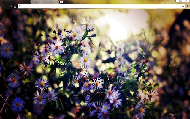 Fioletowe kwiaty (nie aero) ze sklepu internetowego Chrome, które można uruchomić w trybie online OffiDocs Chromium