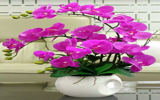 Purple orchid vase wallpaper  from Chrome web store to be run with OffiDocs Chromium online