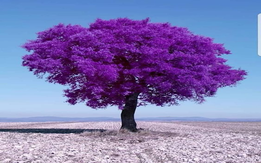 Purple tree wallpaper  from Chrome web store to be run with OffiDocs Chromium online