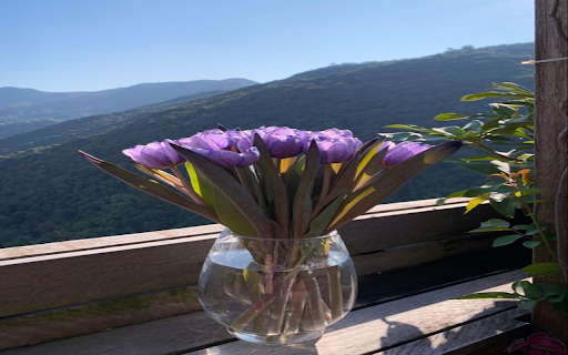 Purple tulip vase wallpaper  from Chrome web store to be run with OffiDocs Chromium online