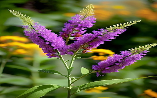 Purple willow wallpaper  from Chrome web store to be run with OffiDocs Chromium online