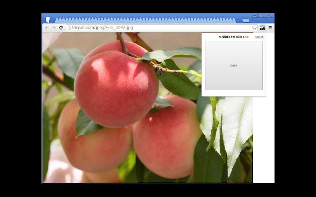 PYR Image Saver ze sklepu internetowego Chrome do uruchomienia z OffiDocs Chromium online