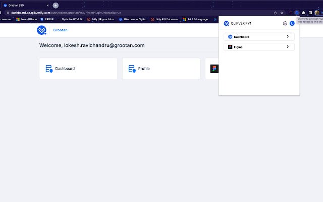 QlikVerify Browser Plugin  from Chrome web store to be run with OffiDocs Chromium online