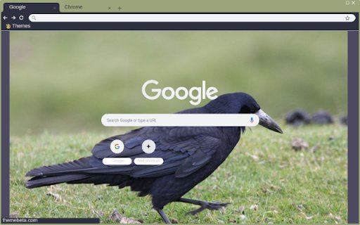 Qua from Chrome web store to be run with OffiDocs Chromium online Qua from Chrome web store to be run with OffiDocs Chromium online