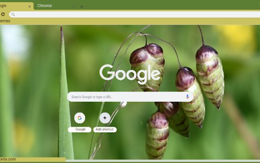 Quaking Grass  from Chrome web store to be run with OffiDocs Chromium online