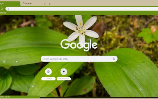 Queen’s Cup  from Chrome web store to be run with OffiDocs Chromium online