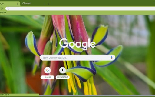 Queen’s Tears  from Chrome web store to be run with OffiDocs Chromium online