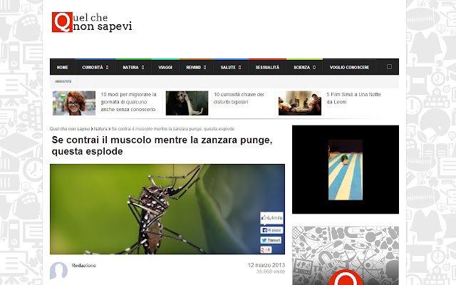 Quel che non sapevi  from Chrome web store to be run with OffiDocs Chromium online