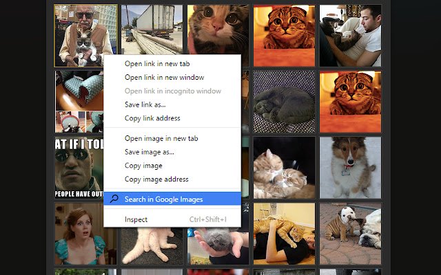 Quick Image Search  from Chrome web store to be run with OffiDocs Chromium online