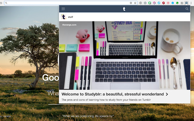 OffiDocs Chromium オンラインで実行される Chrome Web ストアからの Tumblr の QuickLook