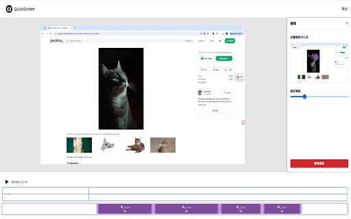 Quick Screen Screen Video Automatic zoom  from Chrome web store to be run with OffiDocs Chromium online