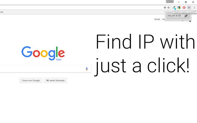 R1P Resolve IP を Chrome Web ストアから取得し、OffiDocs Chromium オンラインで実行する