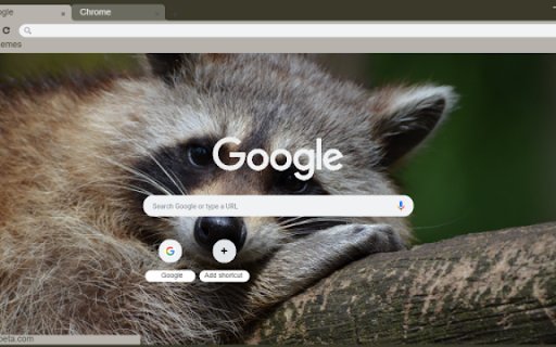 Raccoon  from Chrome web store to be run with OffiDocs Chromium online
