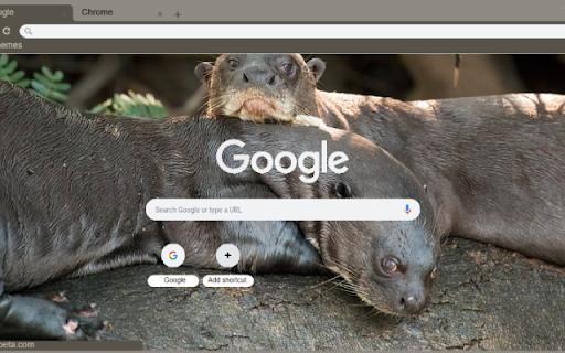 Rai Ca  from Chrome web store to be run with OffiDocs Chromium online