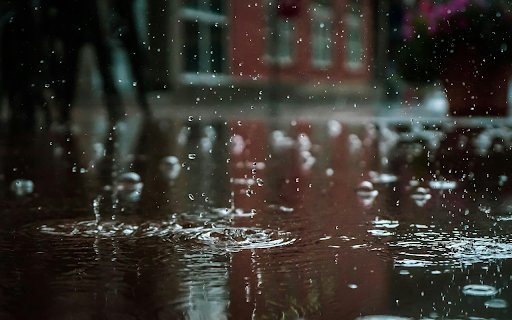 Raindrops delicately cling to the surface  from Chrome web store to be run with OffiDocs Chromium online
