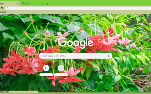 Rangoon Creeper  from Chrome web store to be run with OffiDocs Chromium online