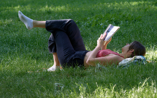 Read a book on the relaxing grass garden  from Chrome web store to be run with OffiDocs Chromium online