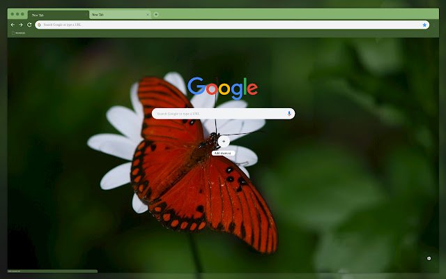 Borboleta vermelha da loja on-line do Chrome para ser executada com OffiDocs Chromium online