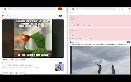 Reddit Political Post Blocker  from Chrome web store to be run with OffiDocs Chromium online