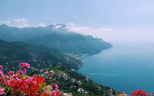 Red flower bush blooming from Chrome web store to be run with OffiDocs Chromium online Red flower bush blooming from Chrome web store to be run with OffiDocs Chromium online