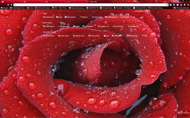 ຫົວຂໍ້ Red Rose 2 ຈາກຮ້ານເວັບ Chrome ທີ່ຈະດໍາເນີນການກັບ OffiDocs Chromium ອອນໄລນ໌