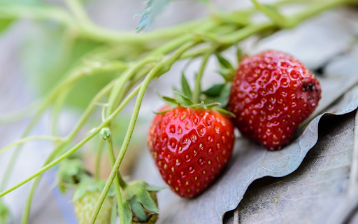 Red strawberry  from Chrome web store to be run with OffiDocs Chromium online