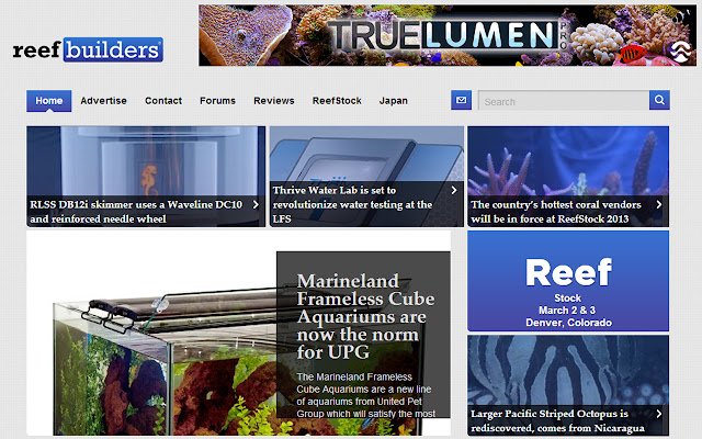 Reef Builders  from Chrome web store to be run with OffiDocs Chromium online